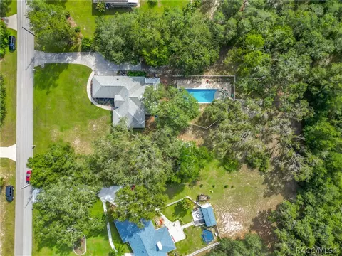 View/Area - 390 W Olympia St, Hernando, FL 34442 photo 9 of 13