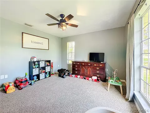 Other - 390 W Olympia St, Hernando, FL 34442 photo 3 of 6