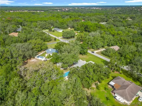 View/Area - 390 W Olympia St, Hernando, FL 34442 photo 12 of 13