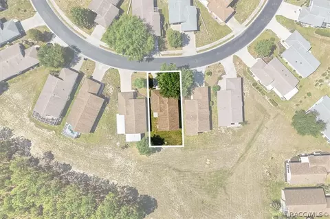 View/Area - 826 W Cockatiel Loop, Hernando, FL 34442 photo 2 of 6