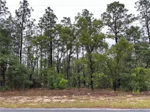 2905 W Sharpes Dr, Citrus Springs, FL 34433