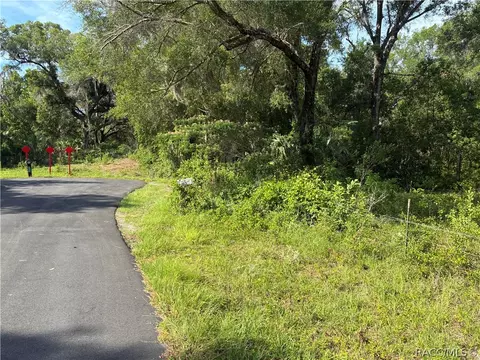5236 N Oldwood Pt, Hernando, FL 34442