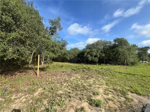 6990 N Lime Dr, Citrus Springs, FL 34433