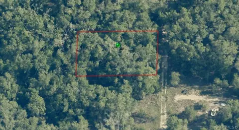 703 Dalwood Ave, Inverness, FL 34453