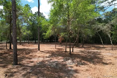 6925 W Copenhagen St, Dunnellon, FL 34433