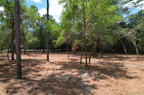 6925 W Copenhagen St, Dunnellon, FL 34433