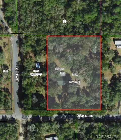 Other - 1801 Evelyn St, Hernando, FL 34442 photo 2 of 16
