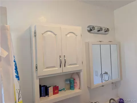 Bath - 2720 N Lakefront Dr, Hernando, FL 34442 photo 4 of 4