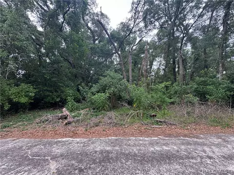 3638 E Lee Dr, Inverness, FL 34453