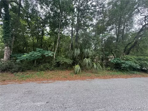 3462 E Michael St, Inverness, FL 34453