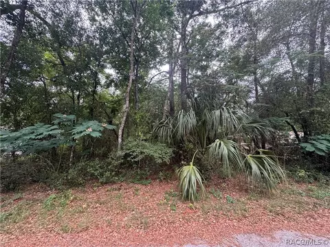 3462 E Michael St, Inverness, FL 34453 photo 2