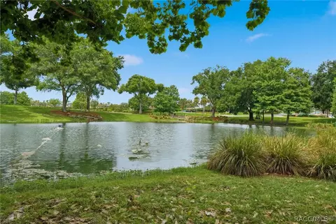 View/Area - 1672 W Spring Meadow Loop, Lecanto, FL 34461 photo 1 of 2