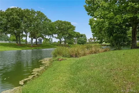 View/Area - 1672 W Spring Meadow Loop, Lecanto, FL 34461 photo 2 of 2