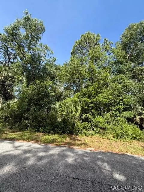 444 N Hourglass Ter, Crystal River, FL 34429