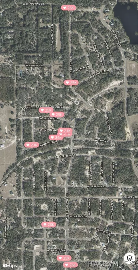 View/Area - 612 E Hartford St, Hernando, FL 34442 photo 14 of 17