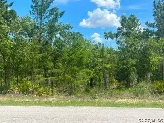 20 Smilax Ct, Homosassa, FL 34446