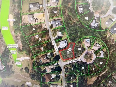 2 Coconut Ct, Homosassa, FL 34446
