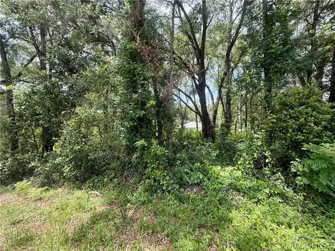 3965 E Walker St, Inverness, FL 34453