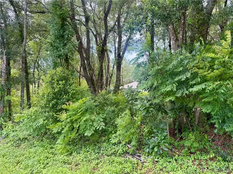 3965 E Walker St, Inverness, FL 34453 photo 5