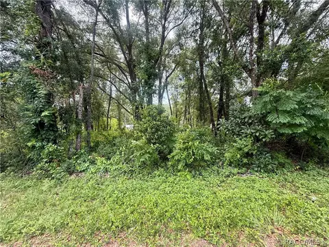 3965 E Walker St, Inverness, FL 34453 photo 4