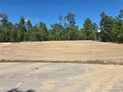 25 Statice Ct, Homosassa, FL 34446