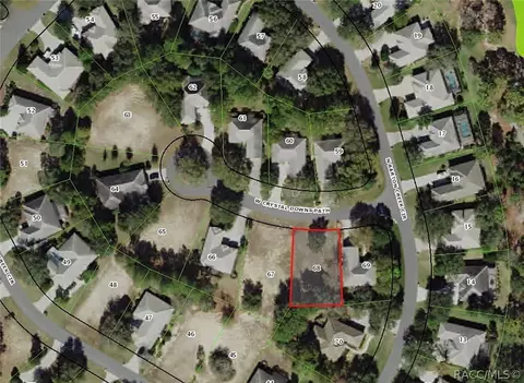 3800 W Crystal Downs Path, Lecanto, FL 34461