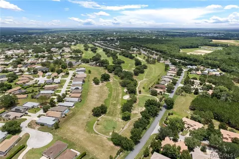 View/Area - 1646 W Spring Meadow Loop, Lecanto, FL 34461 photo 10 of 13