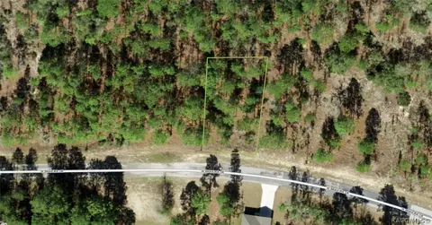 2651 W Bravura Dr, Citrus Springs, FL 34433