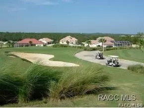 Other - 619 W Doerr Path, Hernando, FL 34442 photo 17 of 17