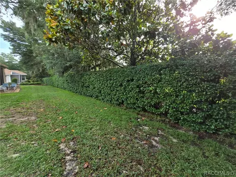Exterior - 619 W Doerr Path, Hernando, FL 34442 photo 6 of 10