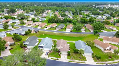 View/Area - 735 W Toucan Loop, Hernando, FL 34442 photo 9 of 10