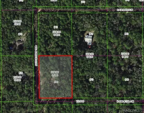 13407 S Ephesian Ter, Floral City, FL 34436