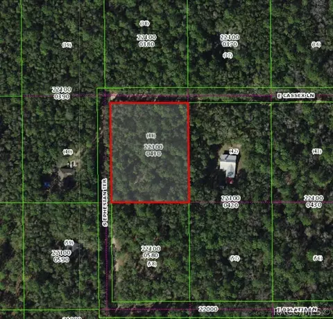 8708 E Cassex Ln, Floral City, FL 34436