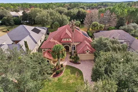 View/Area - 1416 N Ridge Meadow Path, Hernando, FL 34442 photo 1 of 8