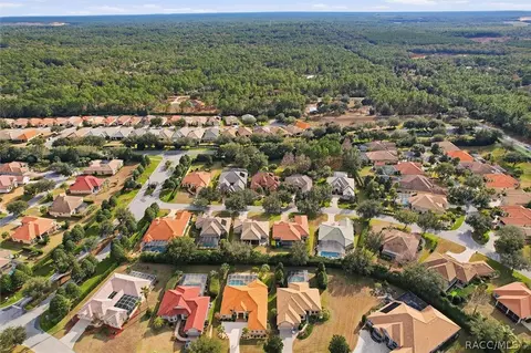 View/Area - 1416 N Ridge Meadow Path, Hernando, FL 34442 photo 6 of 8