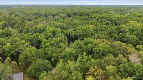 View/Area - 21 River Trail Dr, Inglis, FL 34449 photo 2 of 2