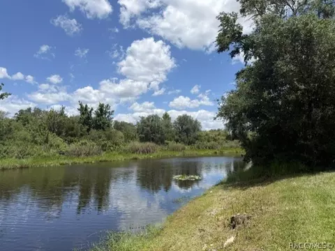 View/Area - 6466 N Lakeside Dr, Hernando, FL 34442 photo 3 of 4
