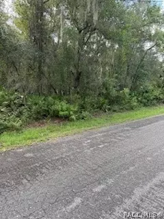 8585 N Maple Ave, Crystal River, FL 34428