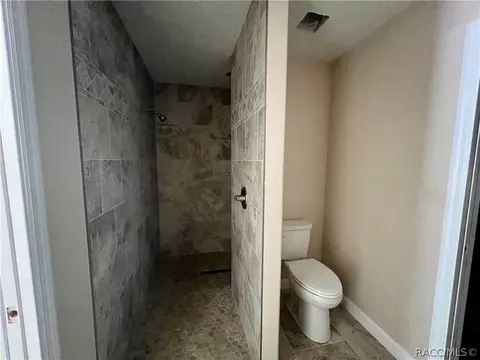 Bath - 6532 N Iris Dr, Hernando, FL 34442 photo 2 of 5