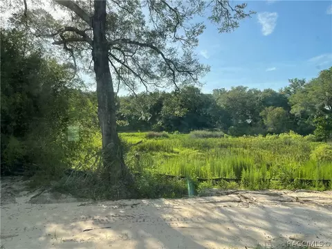 Other - 6532 N Iris Dr, Hernando, FL 34442 photo 3 of 6
