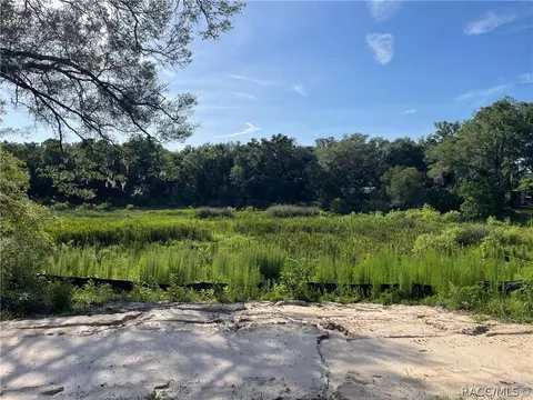 View/Area - 6532 N Iris Dr, Hernando, FL 34442 photo 1 of 1