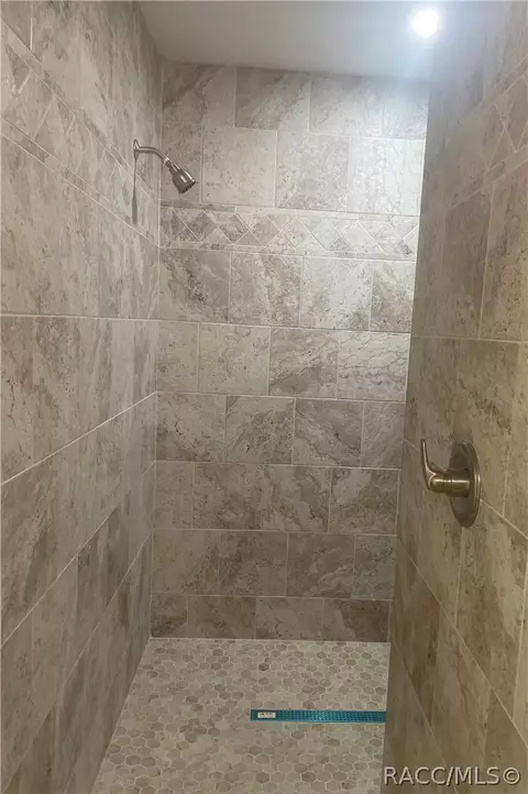 Bath - 6532 N Iris Dr, Hernando, FL 34442 photo 3 of 5