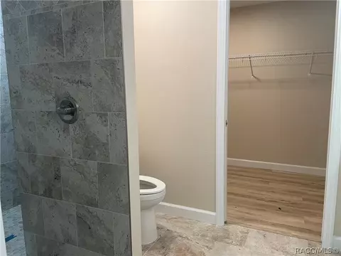 Other - 6532 N Iris Dr, Hernando, FL 34442 photo 4 of 10