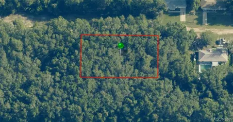 2215 Bluegrass St, Inverness, FL 34453