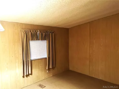 3935 E Lake Park Dr, Hernando, FL 34442 photo 8
