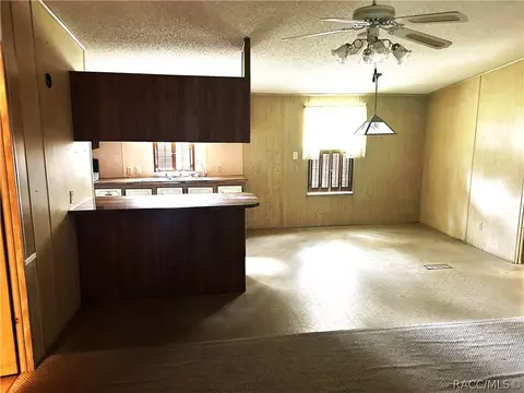 3935 E Lake Park Dr, Hernando, FL 34442 photo 18