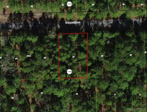 910 W Bannister Dr, Citrus Springs, FL 34434
