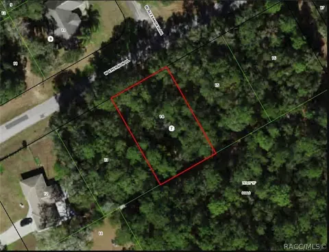 1330 W Emerson Pl, Dunnellon, FL 34434