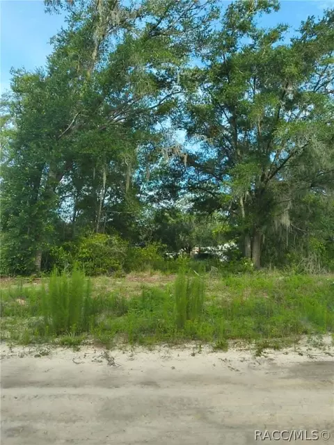 48 N Buchannon Ter, Inverness, FL 34453
