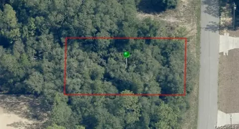 7064 N Ripley Dr, Dunnellon, FL 34433